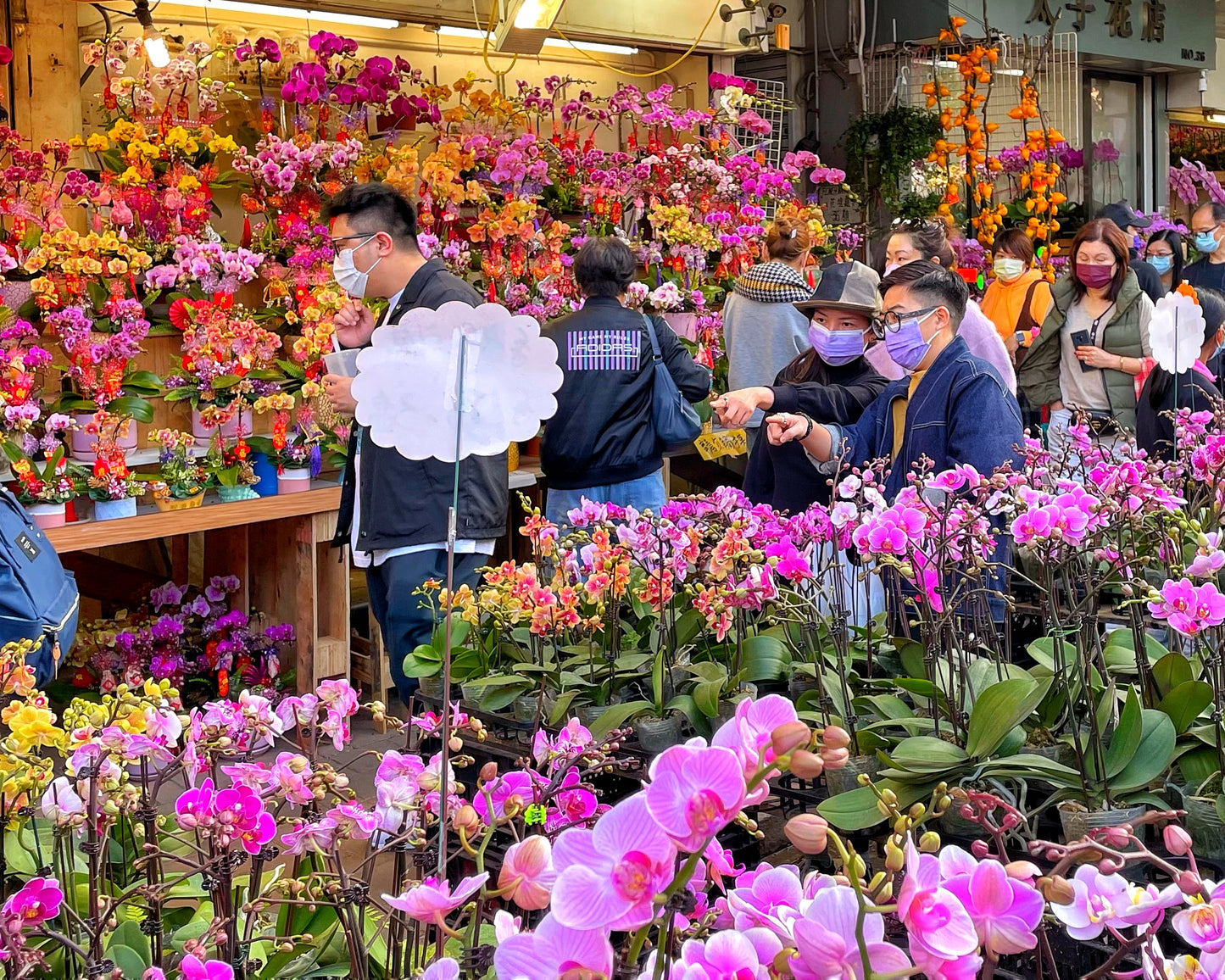 Lunar New Year Preparation - Mong Kok Shopping Tour