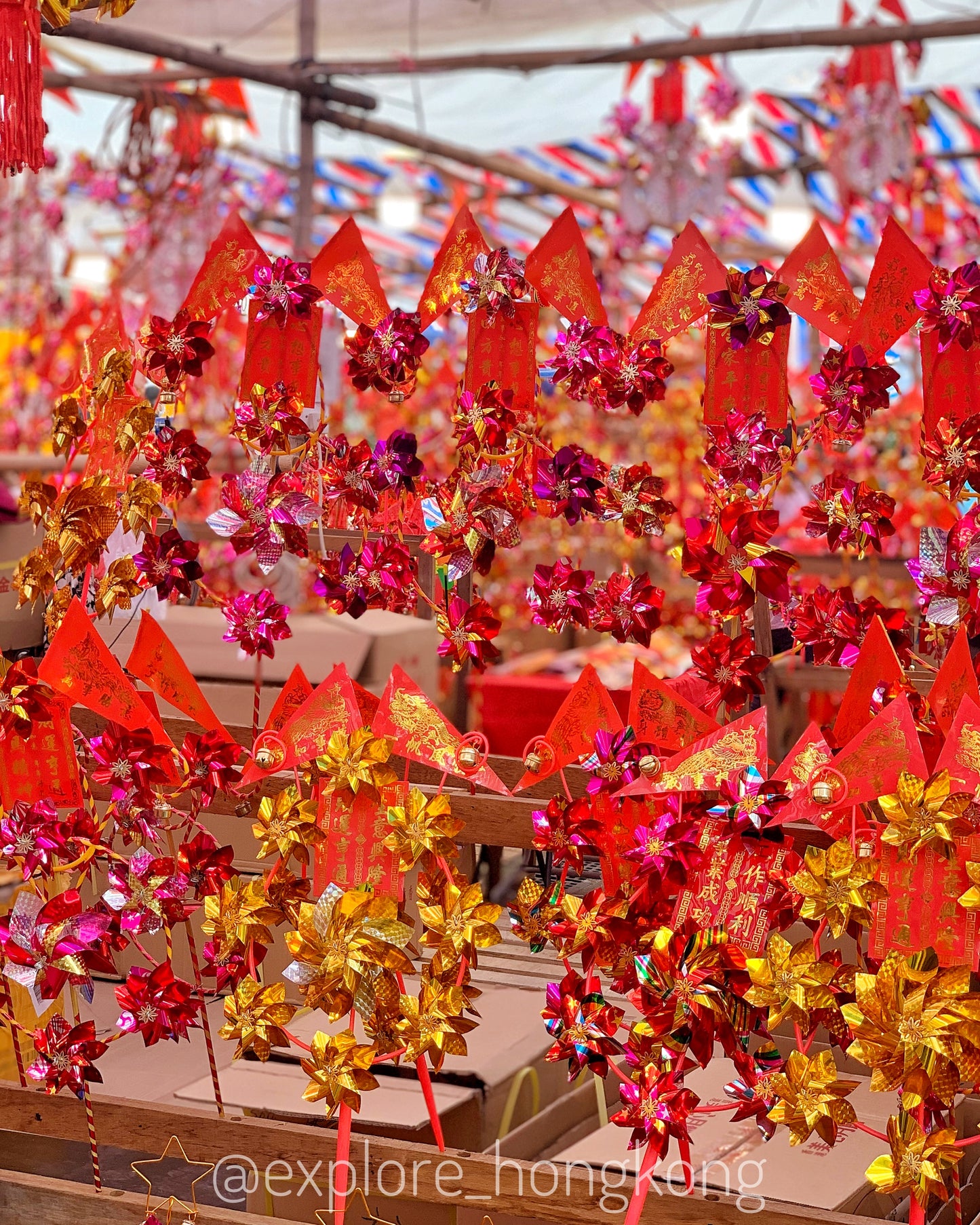 The ONE and ONLY Lunar New Year Tour in Hong Kong – Shatin Edition