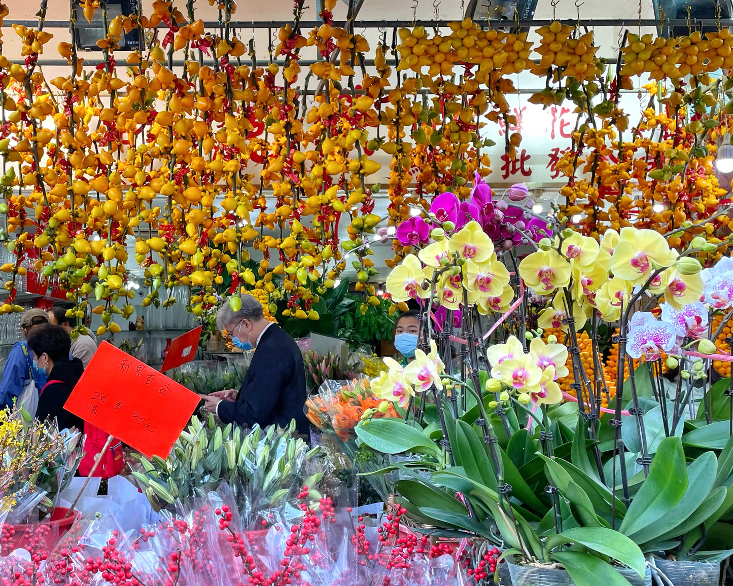 Lunar New Year Preparation - Mong Kok Shopping Tour