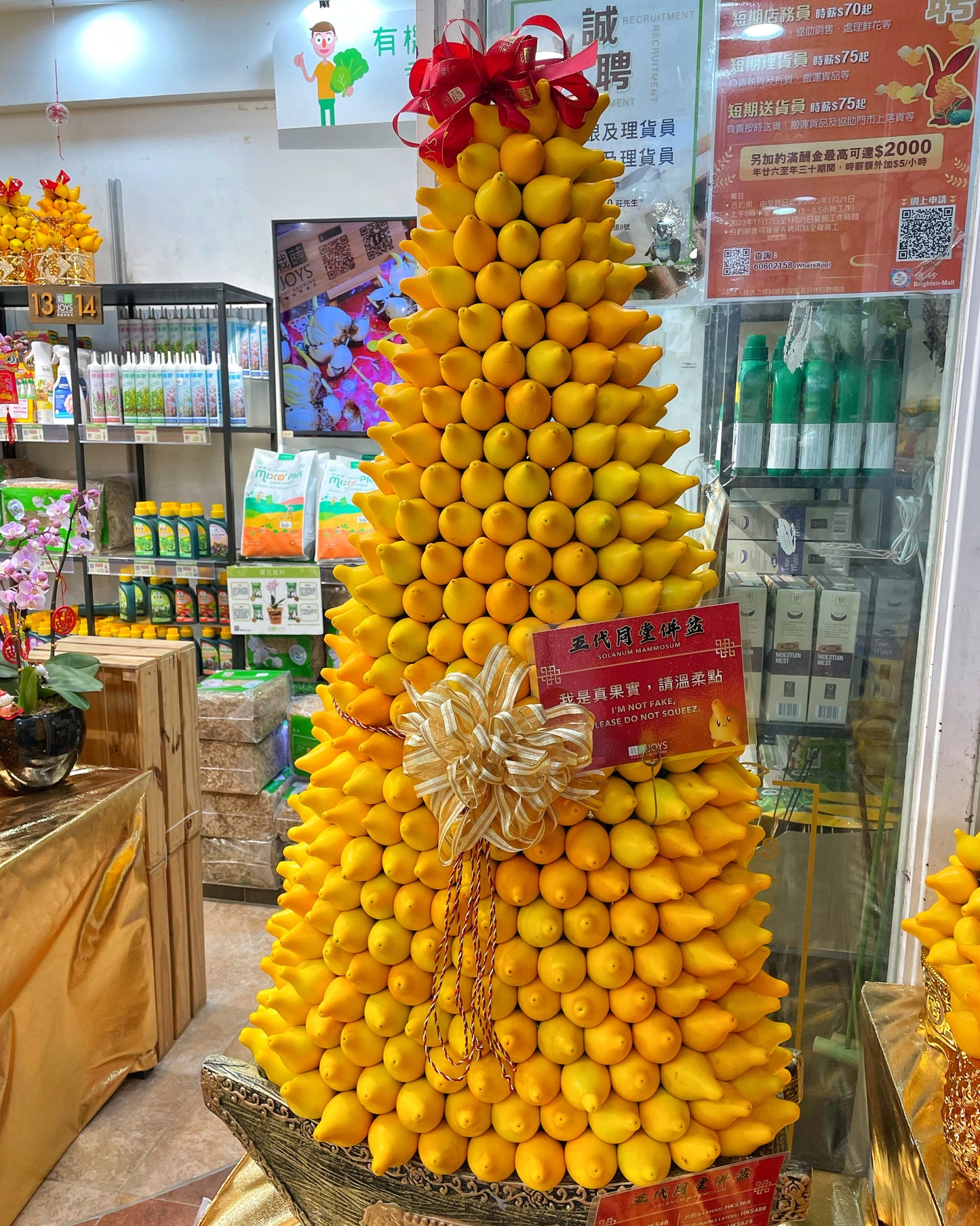 Lunar New Year Preparation - Mong Kok Shopping Tour