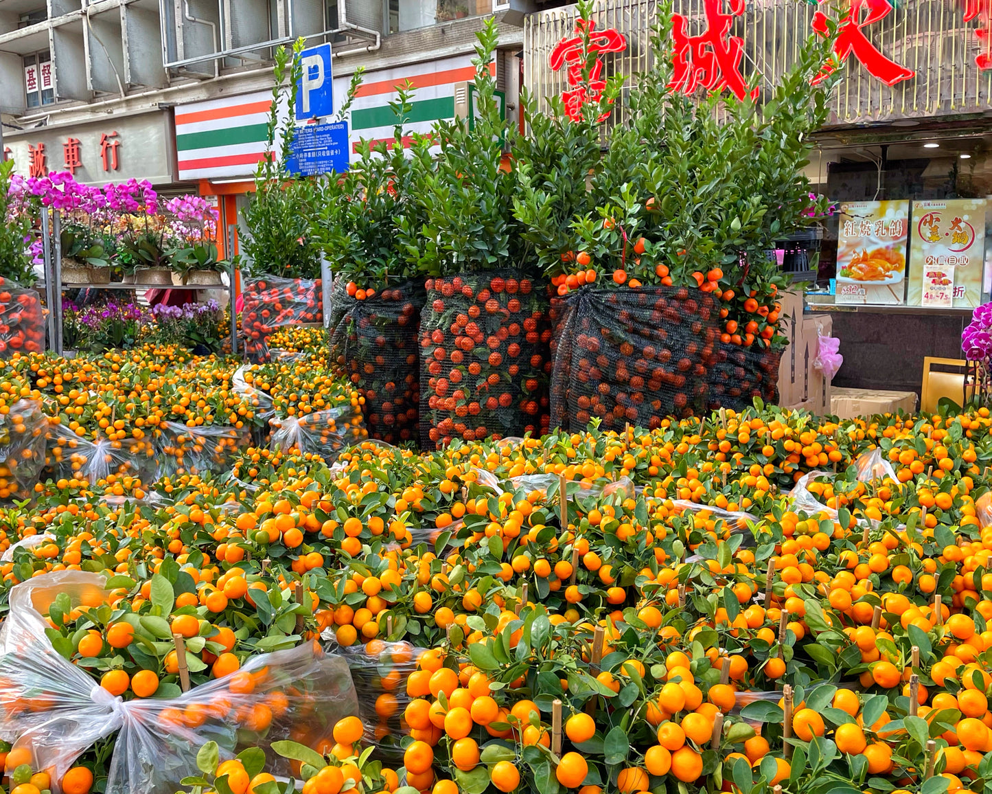 Lunar New Year Preparation - Mong Kok Shopping Tour