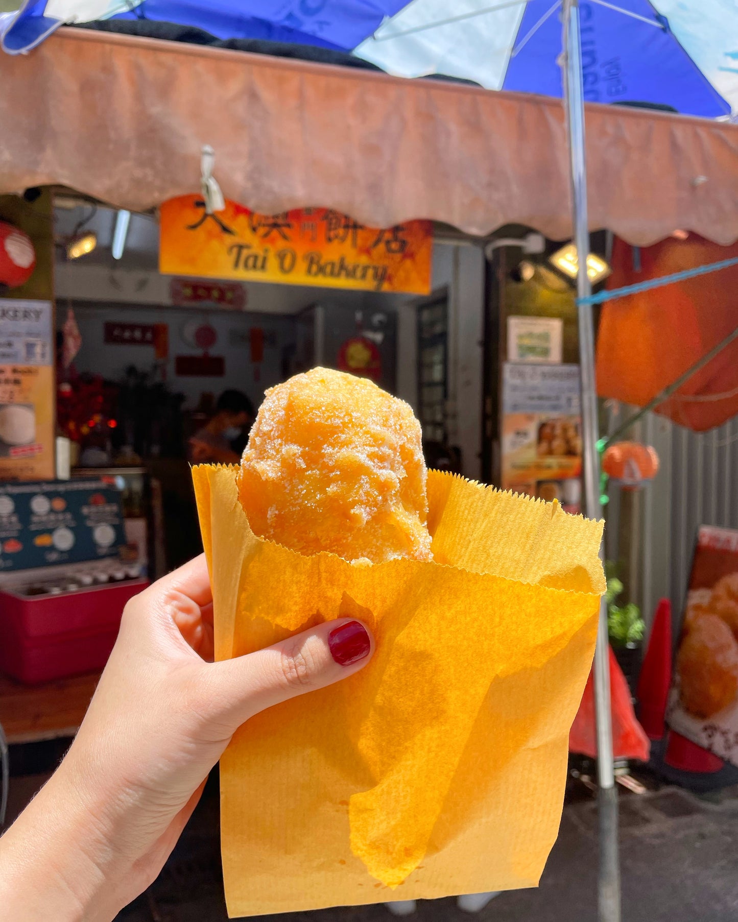 Tai O Hau Wong Festival Tour