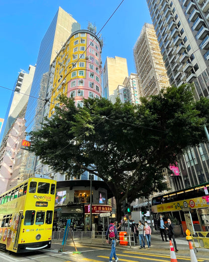 Journey Through Time in Wan Chai